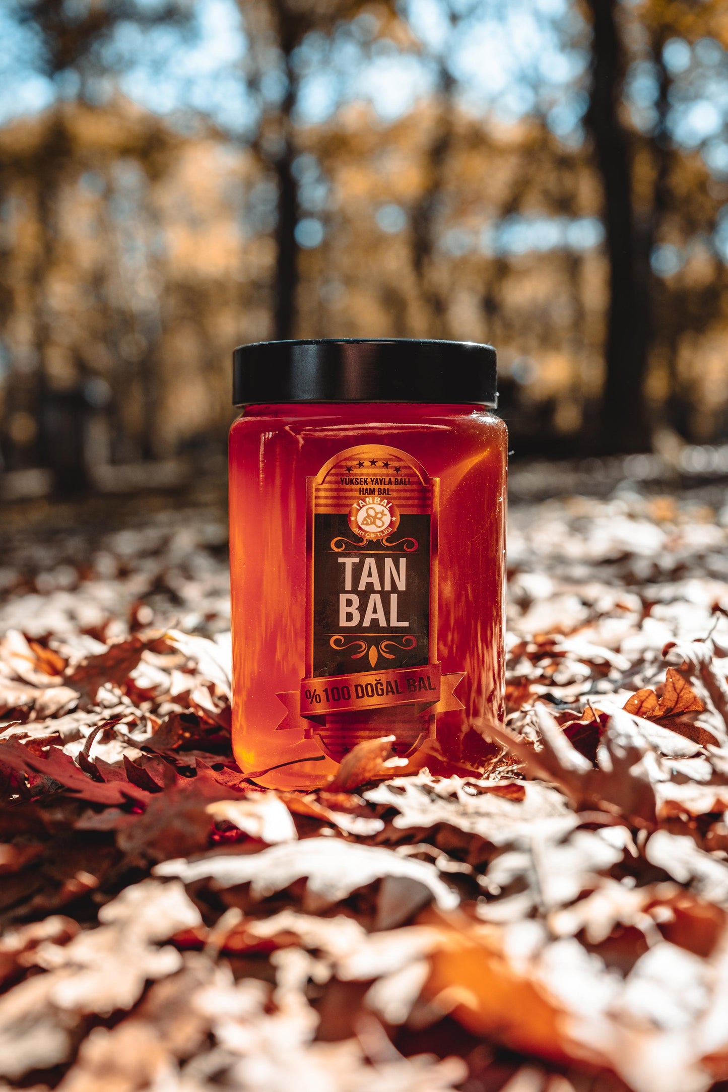 Organik Petekli Süzme Bal Net 1000 Gr