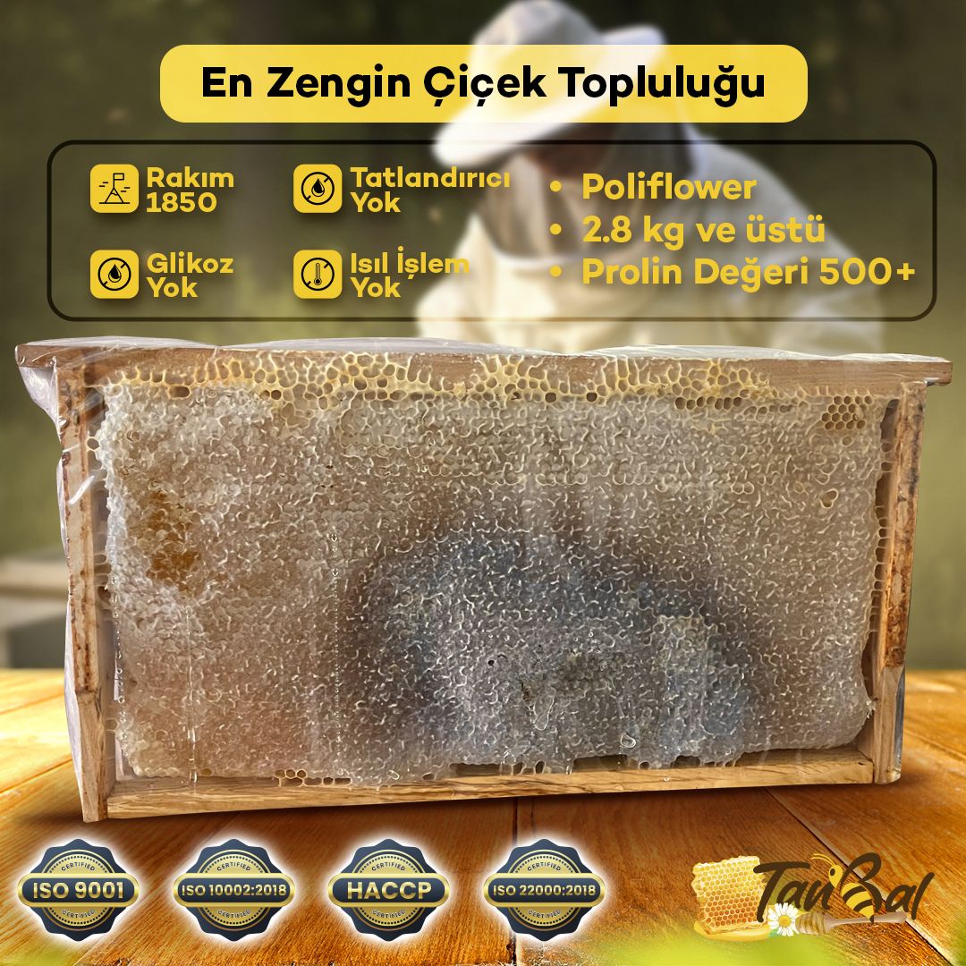 Organik Çerçeve Bal (kırmızı) 3200 Gr