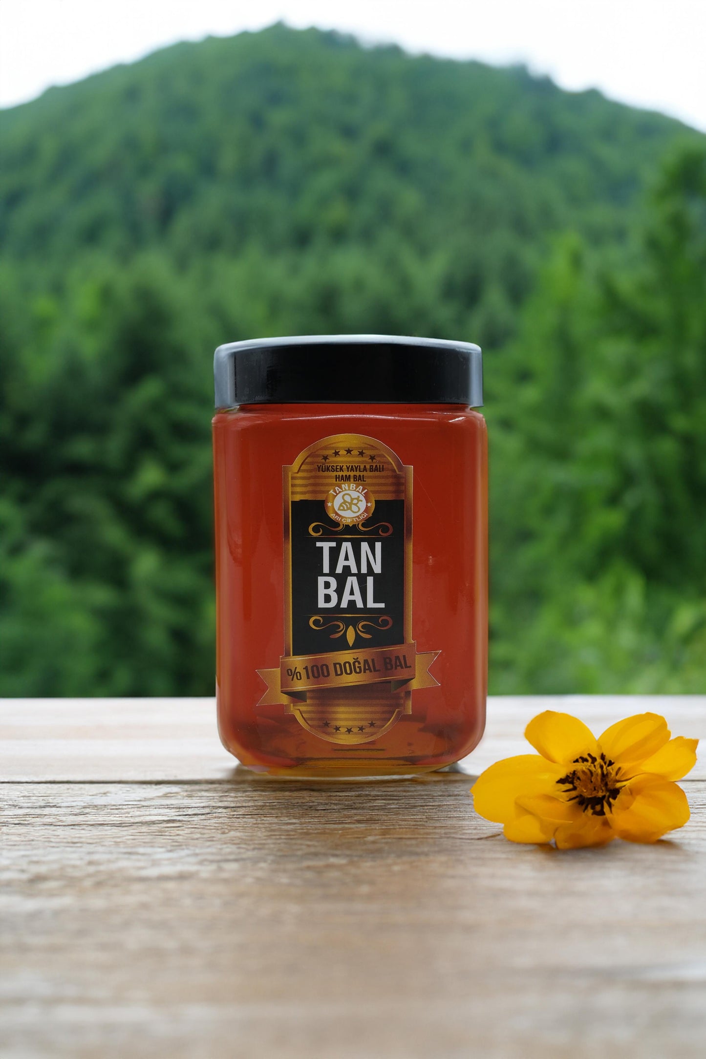 Organik Yüksek Yayla Balı Net 1000 Gr
