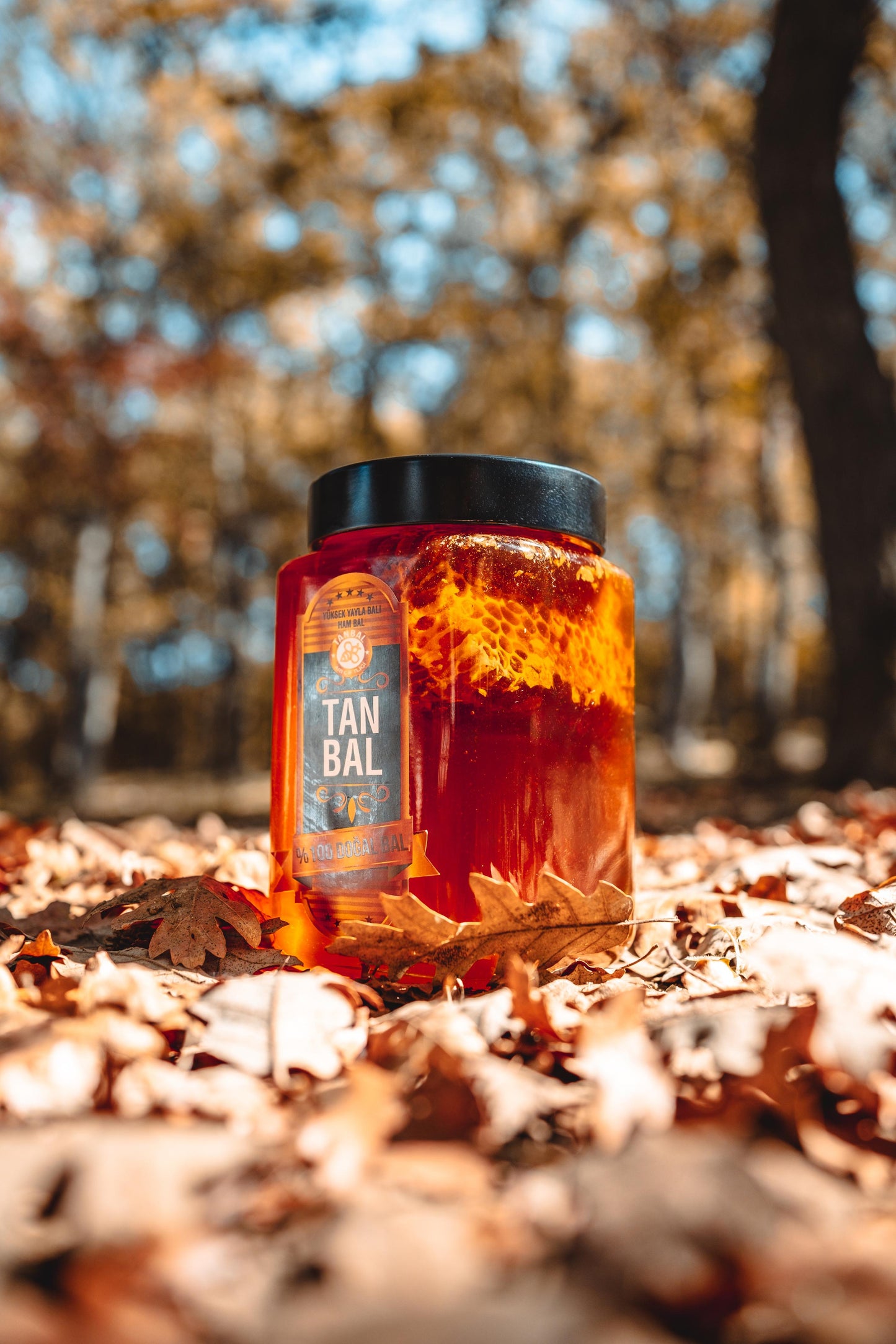 Organik Petekli Süzme Bal Net 1000 Gr