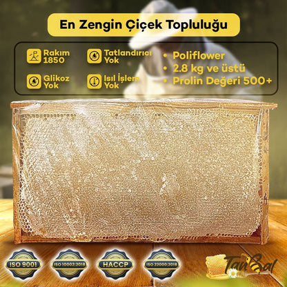 Organik Yayla Çiçek Balı 2800 Gr