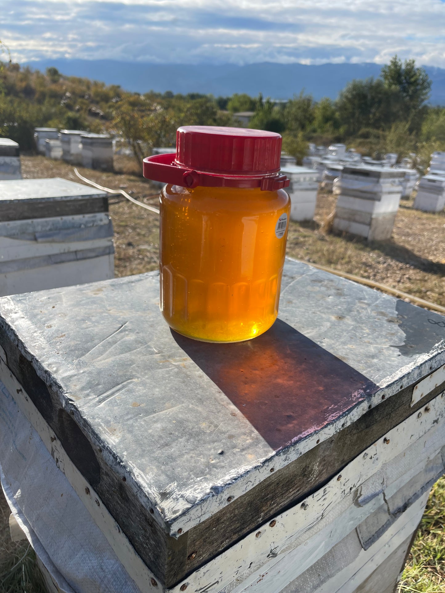 Organik Yayla Çiçek Balı 26 Kg
