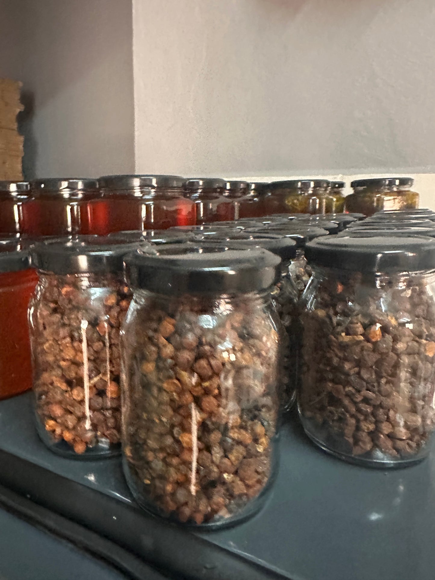 Tanbal Perga (Arı Ekmeği) 100gr