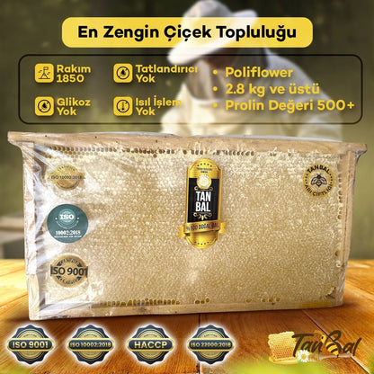 Organik Yayla Çiçek Balı 2800 Gr