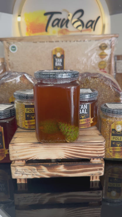 Tanbal Süzme Bal ve Taze Çam Kozalağı 1200gr