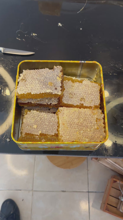 Tanbal Petekli Bal Kırmızı Renk 1.3kg Orta Polenli